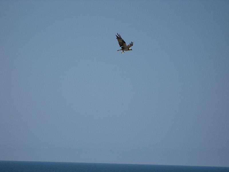 Picture 019